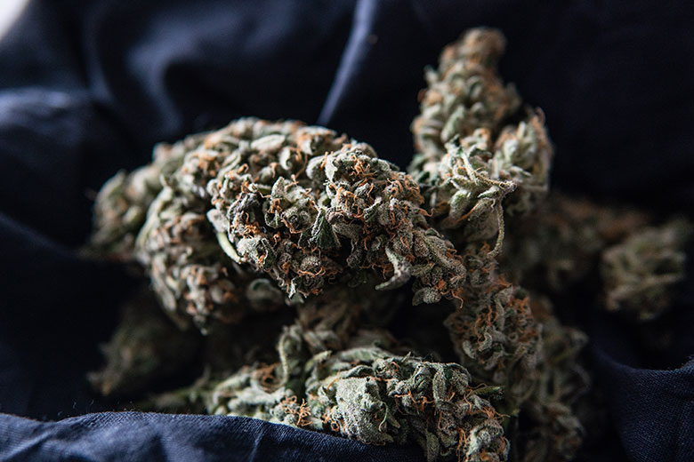 Medical Marijuana Evaluations